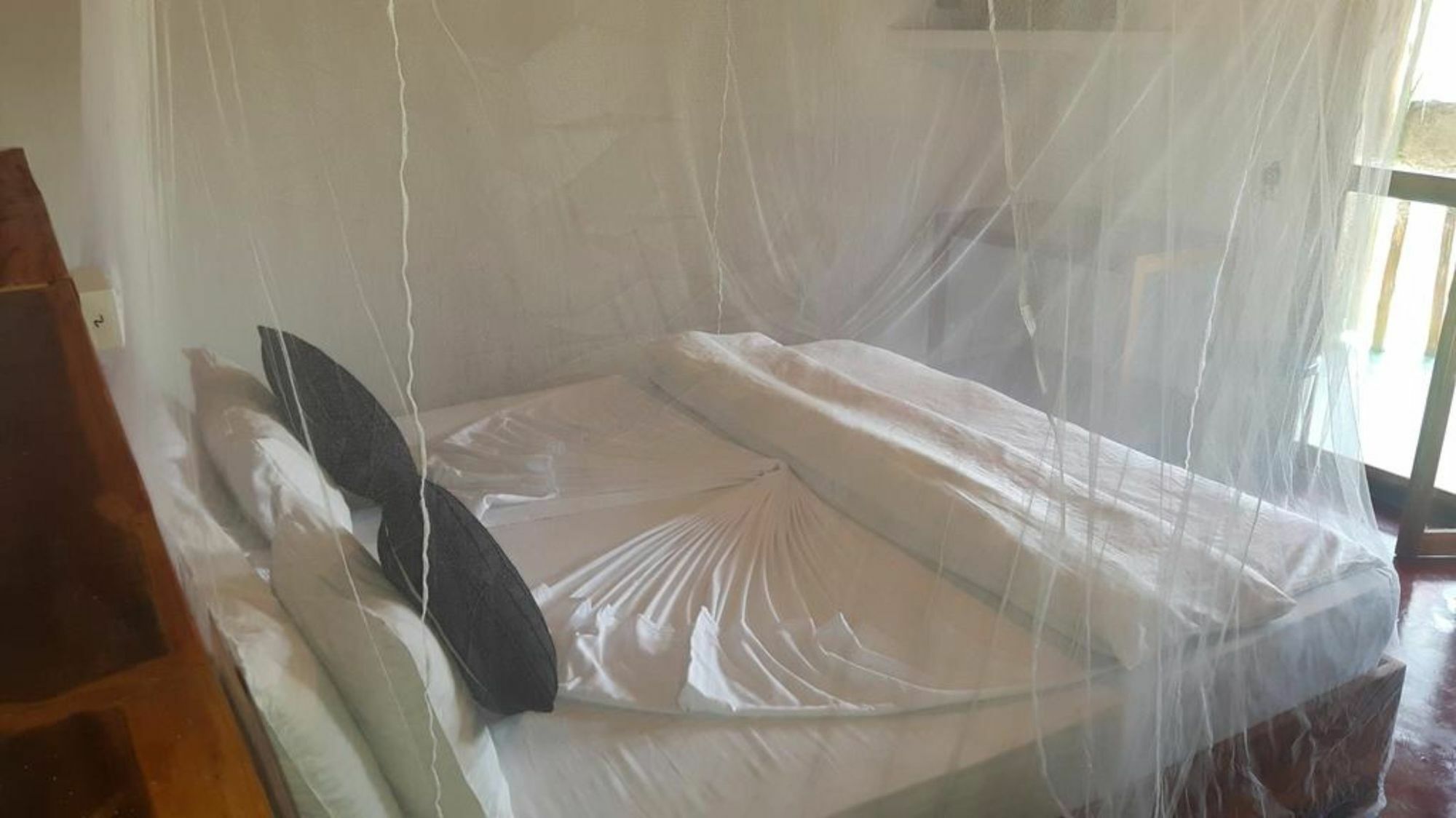 엘라 밤부 카바나 B&B 외부 사진